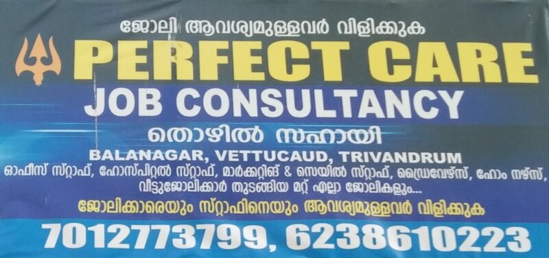 Perfect care home nursing agency
