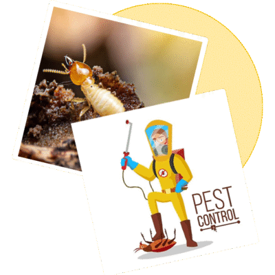 Sorna Valli Pest Control